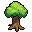 Elderbark