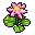 Lotuseer